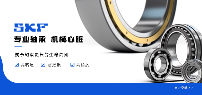 斯凯孚上海代理商查询