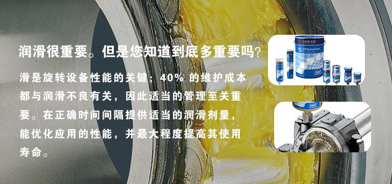 斯凯孚上海代理商查询