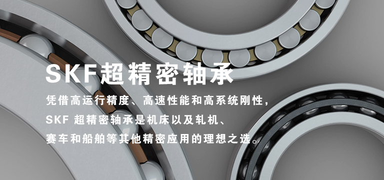 斯凯孚上海代理商查询