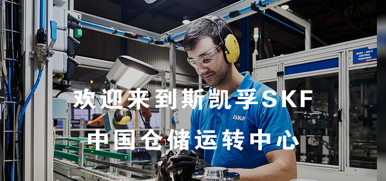 斯凯孚上海代理商查询